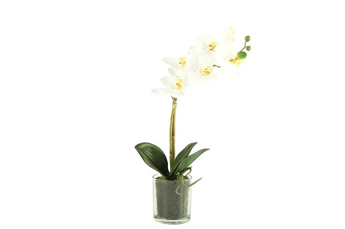 neuheiten-saisonales-kunstblumen-kunstblume-phalaenopsis-weiss-wg27650