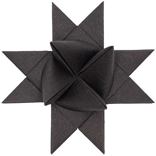 neuheiten-saisonales-marken-weihnachten-deko-baumhaenger-advent-rico-design-froebelsterne-schwarz-wg32162