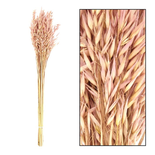 neuheiten-saisonales-trockenblumen-bouquet-avena-wg32751