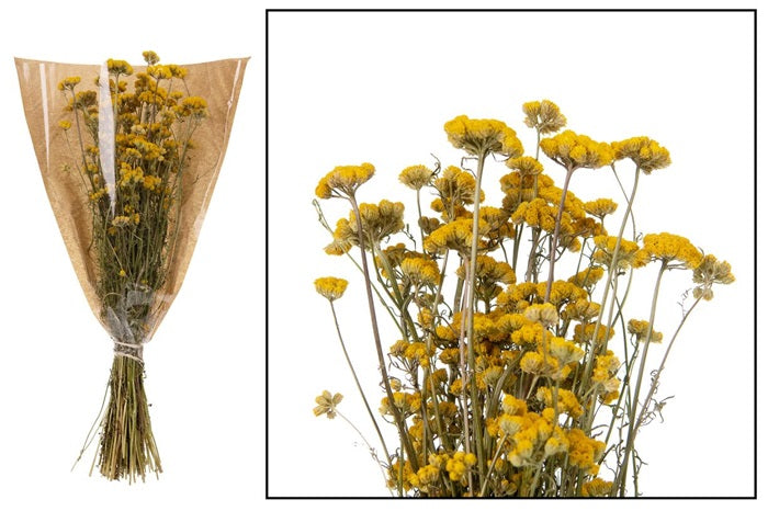 neuheiten-saisonales-trockenblumen-lona-wg29121