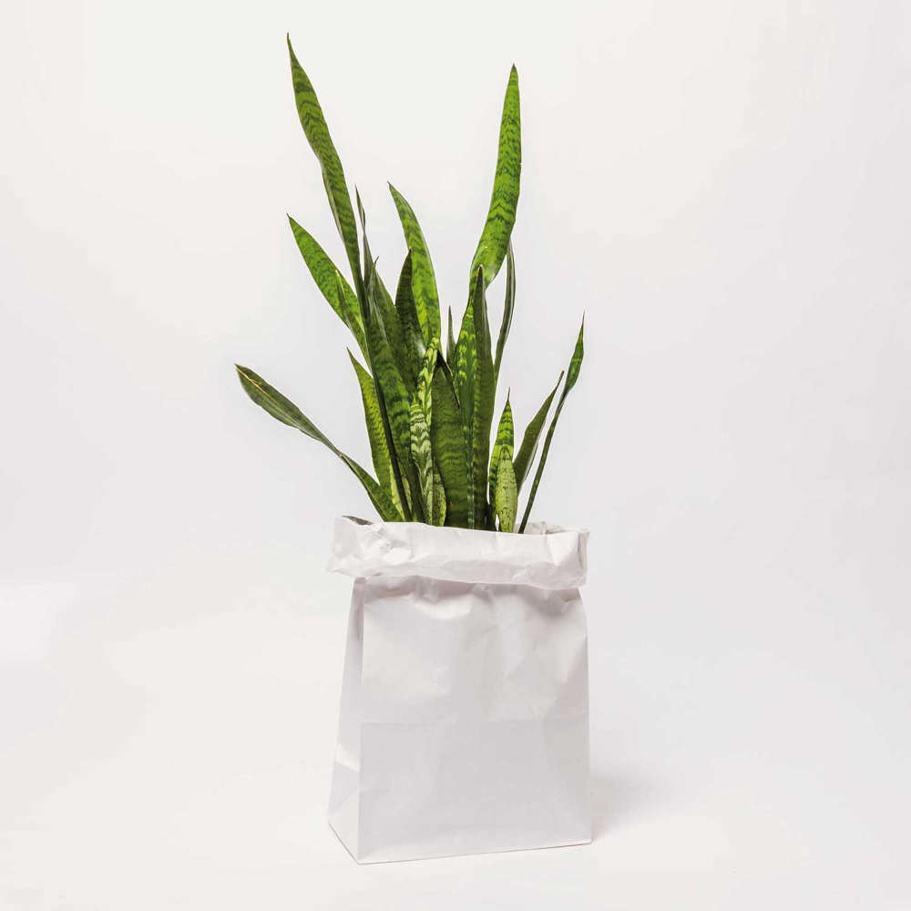 rico_design_blockbodenbeutel_XL_weiss_99001-75-04_4