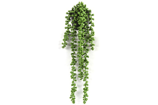 saisonales-kunstblumen-senecio-rowleyanus-wg27121