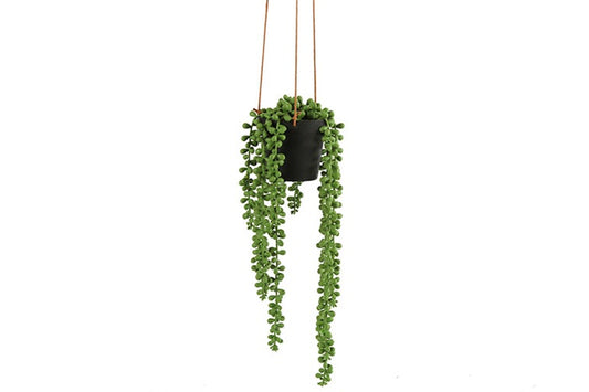 saisonales-kunstblumen-senecio-rowleyanus-wg27122