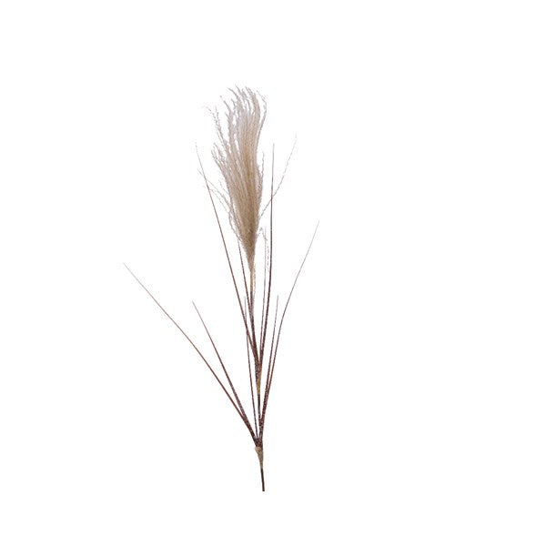 saisonales-weihnachten-deko-advent-pvc-pampasbueschel-20x3x88cm-naturel-schnee-wg29986