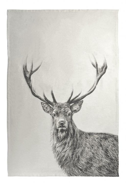 sander-wohndecke-big-buck-cloud