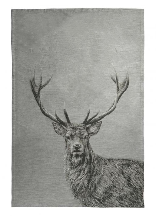 sander-wohndecke-big-buck-grey