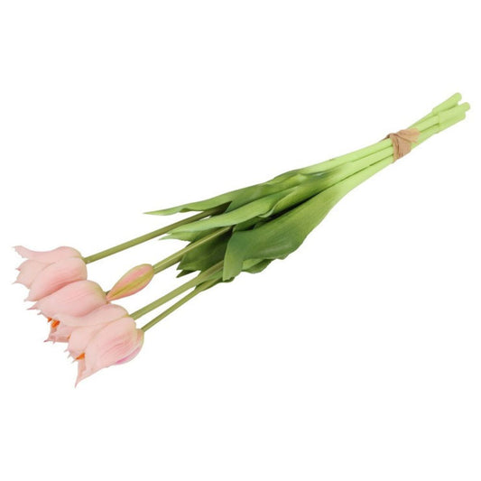 tulepn-rosa