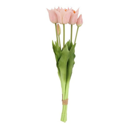tulpen-rosa
