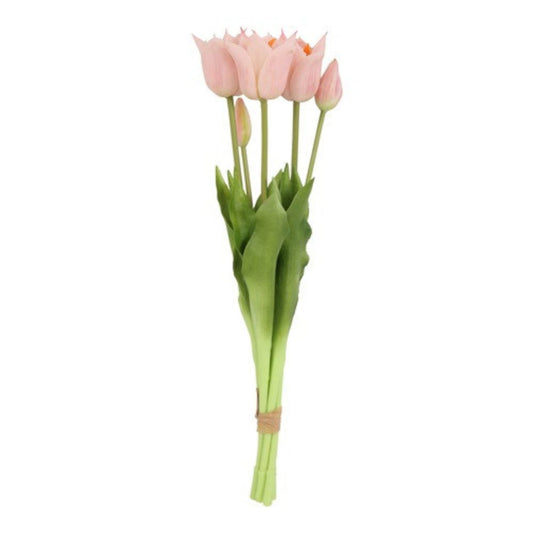tulpen-rosa