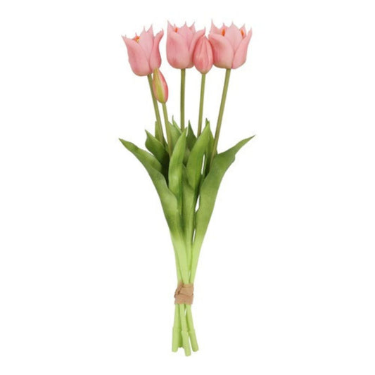 tulpen-rose-2