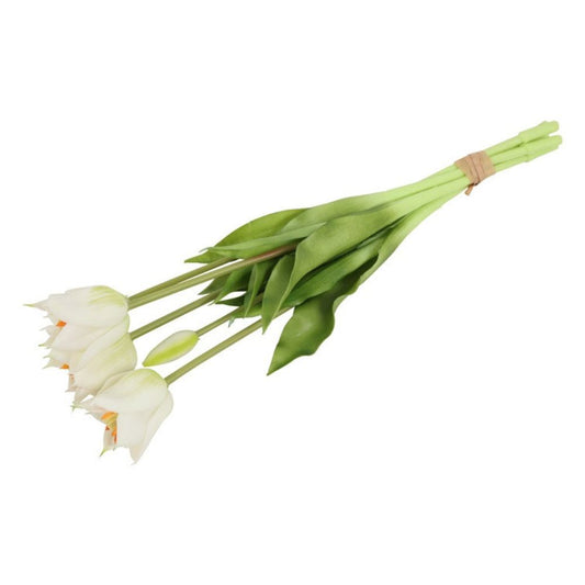 tulpen-weiss-2