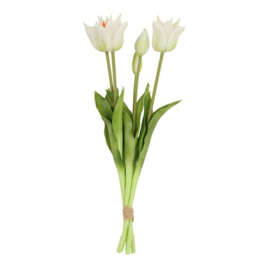 tulpen-weiss