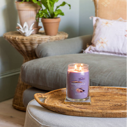 yankee_candle_stargazing_signature_l_2-docht_5901749347_2
